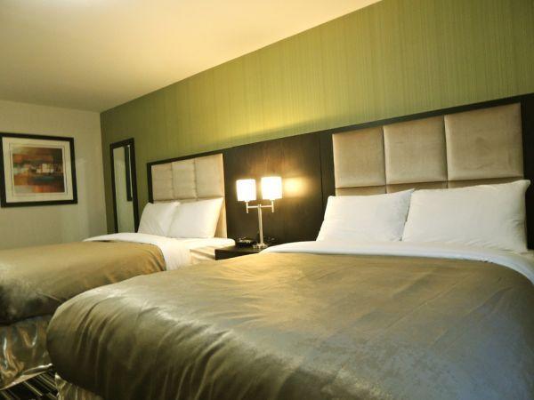 Western Star Inn & Suites Stoughton Chambre photo